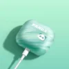Cartoon Panda Matte Texture Apple AirPods Protective Case