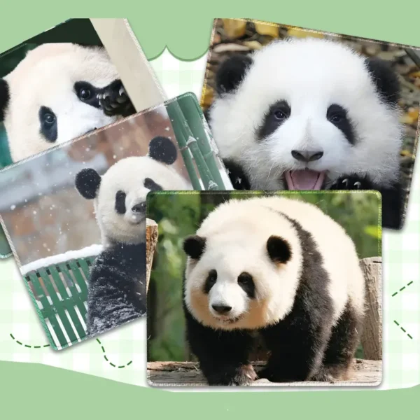 WPASMP000103-0131 Cute Popular Panda Photo Mouse Pad Desk Mat