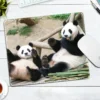 WPASMP000123 Cute Popular Panda Photo Mouse Pad Desk Mat