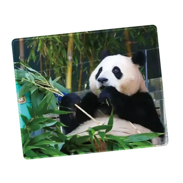 WPASMP000132 Cute Popular Panda Photo Mouse Pad Desk Mat