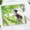 WPASMP000125 Cute Popular Panda Photo Mouse Pad Desk Mat
