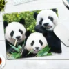 WPASMP000126 Cute Popular Panda Photo Mouse Pad Desk Mat
