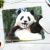 WPASMP000127 Cute Popular Panda Photo Mouse Pad Desk Mat