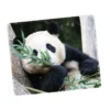WPASMP000128 Cute Popular Panda Photo Mouse Pad Desk Mat