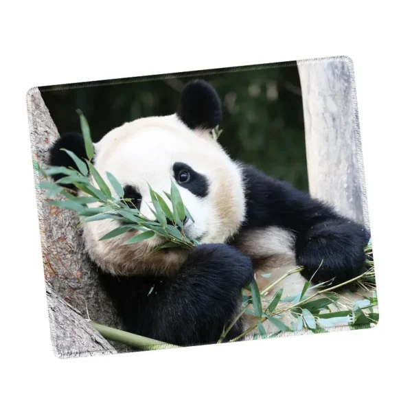 WPASMP000128 Cute Popular Panda Photo Mouse Pad Desk Mat