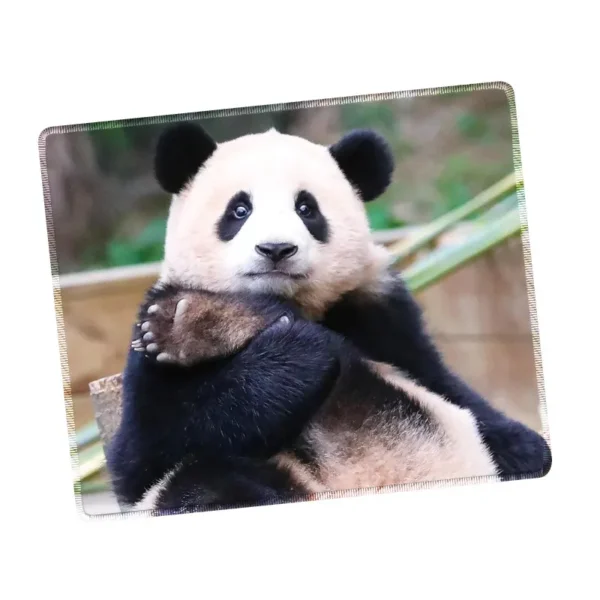 WPASMP000129 Cute Popular Panda Photo Mouse Pad Desk Mat