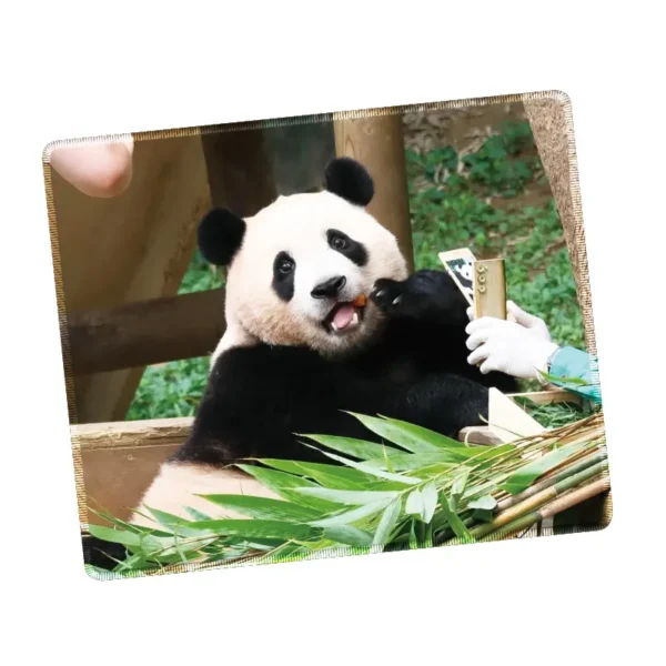 WPASMP000130 Cute Popular Panda Photo Mouse Pad Desk Mat