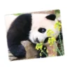WPASMP000131 Cute Popular Panda Photo Mouse Pad Desk Mat