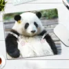 WPASMP000105 Cute Popular Panda Photo Mouse Pad Desk Mat