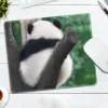 WPASMP000106 Cute Popular Panda Photo Mouse Pad Desk Mat
