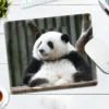 WPASMP000108 Cute Popular Panda Photo Mouse Pad Desk Mat