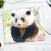 WPASMP000110 Cute Popular Panda Photo Mouse Pad Desk Mat