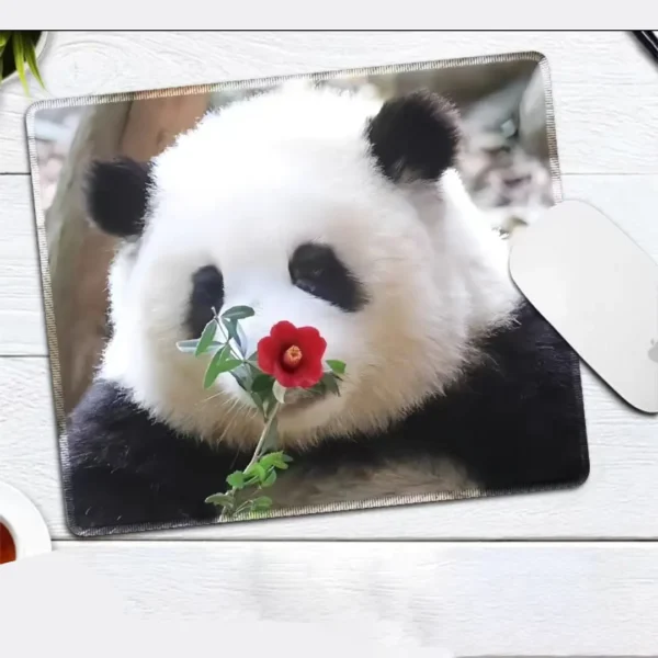 WPASMP000111 Cute Popular Panda Photo Mouse Pad Desk Mat
