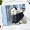 WPASMP000115 Cute Popular Panda Photo Mouse Pad Desk Mat