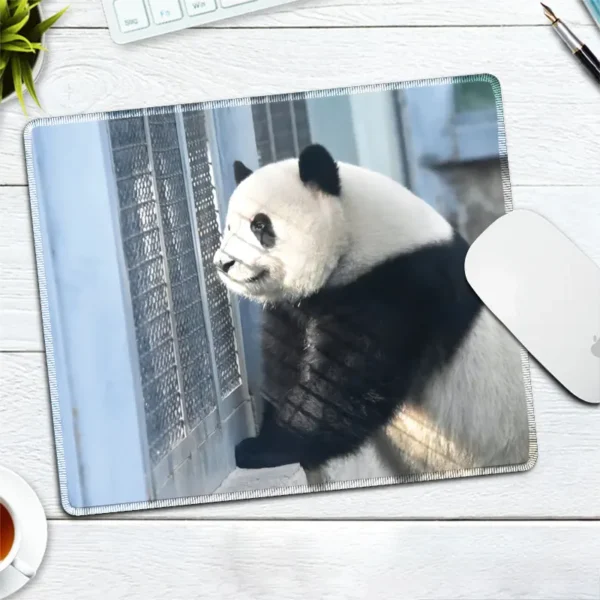 WPASMP000115 Cute Popular Panda Photo Mouse Pad Desk Mat