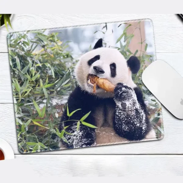 WPASMP000117 Cute Popular Panda Photo Mouse Pad Desk Mat