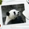 WPASMP000118 Cute Popular Panda Photo Mouse Pad Desk Mat