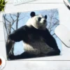 WPASMP000119 Cute Popular Panda Photo Mouse Pad Desk Mat