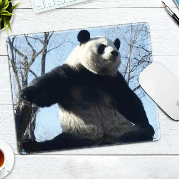 WPASMP000119 Cute Popular Panda Photo Mouse Pad Desk Mat