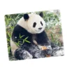 WPASMP000121 Cute Popular Panda Photo Mouse Pad Desk Mat