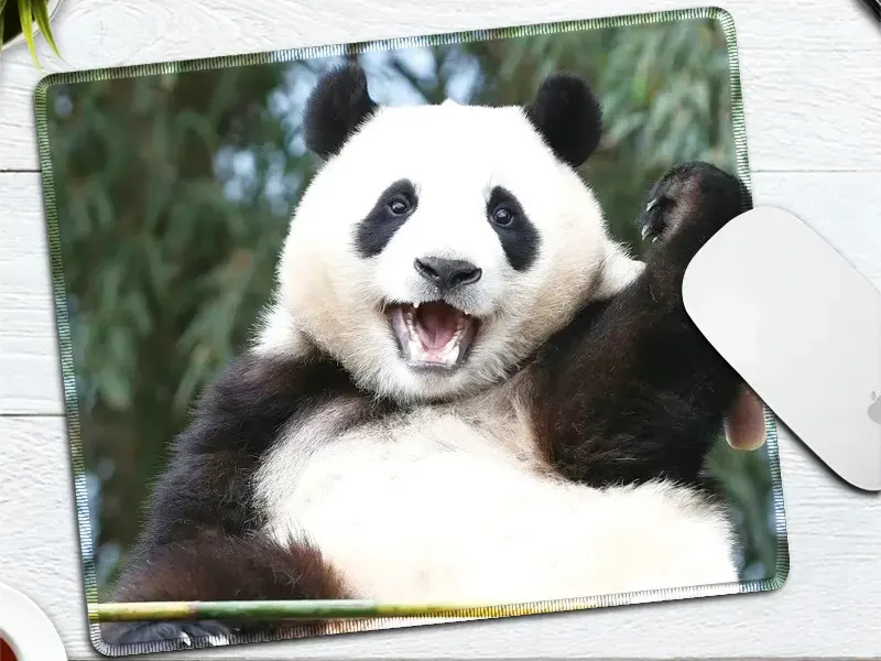Fu bao Panda Photo Mouse Pad Desk Mat