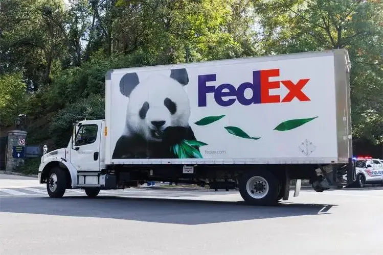 pandas arrive national zoo 04